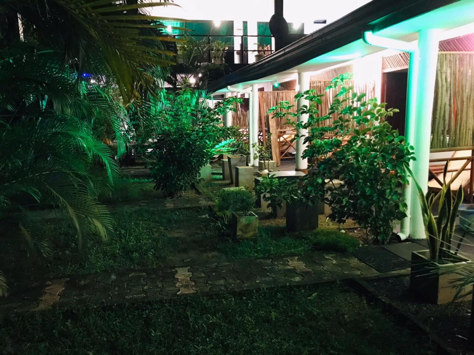 Lion Paradise Surf Beach Matara Exterior photo