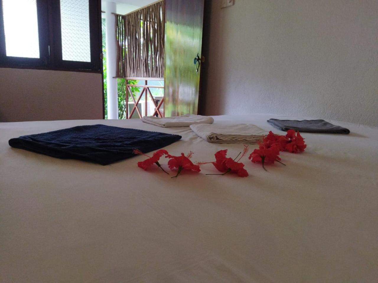 Lion Paradise Surf Beach Matara Room photo