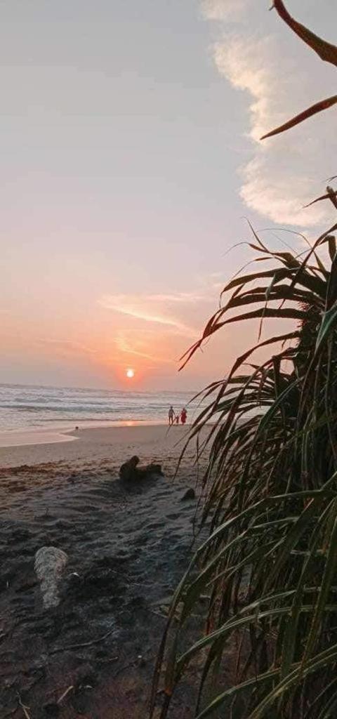 Lion Paradise Surf Beach Matara Exterior photo
