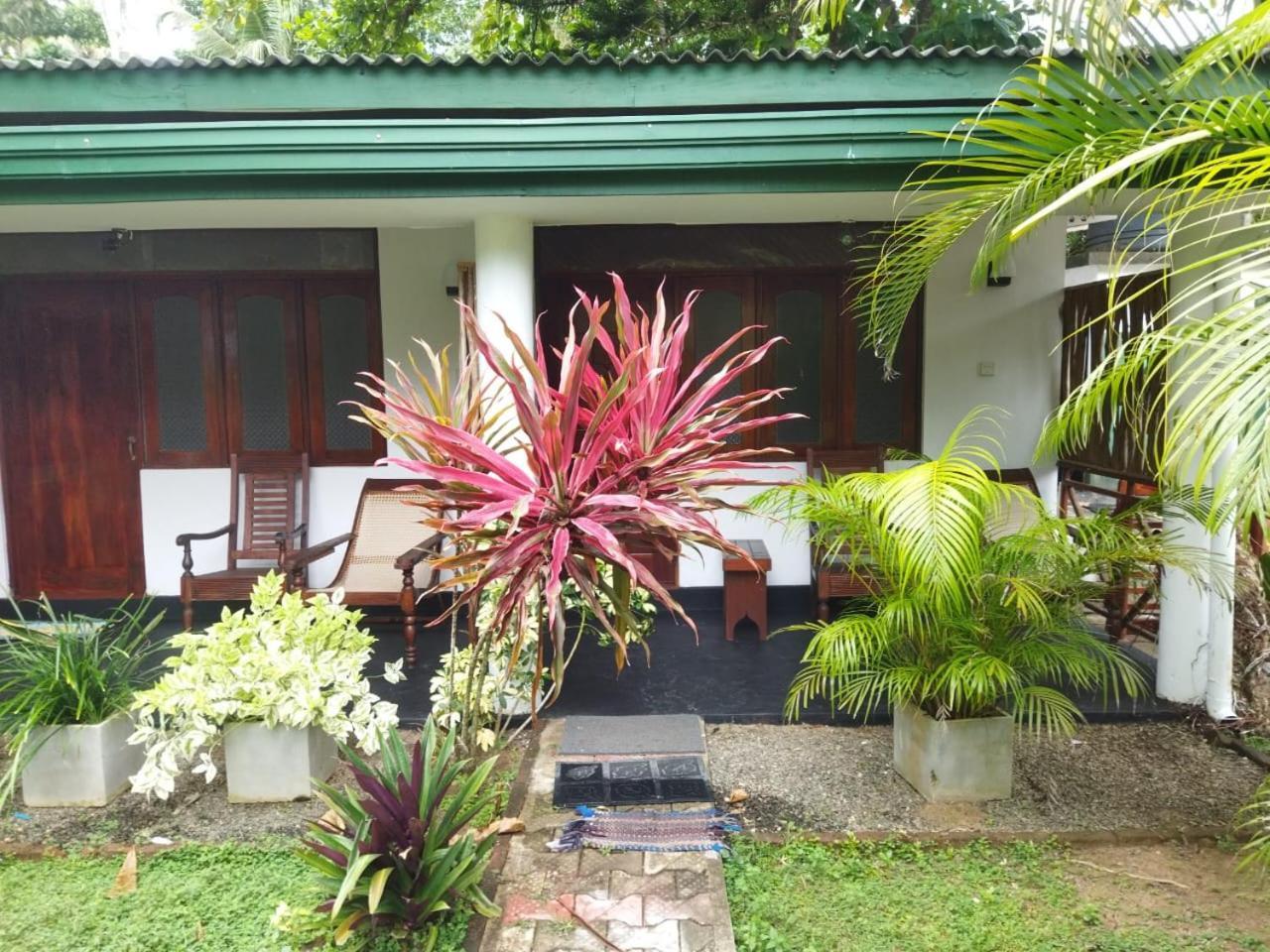 Lion Paradise Surf Beach Matara Exterior photo