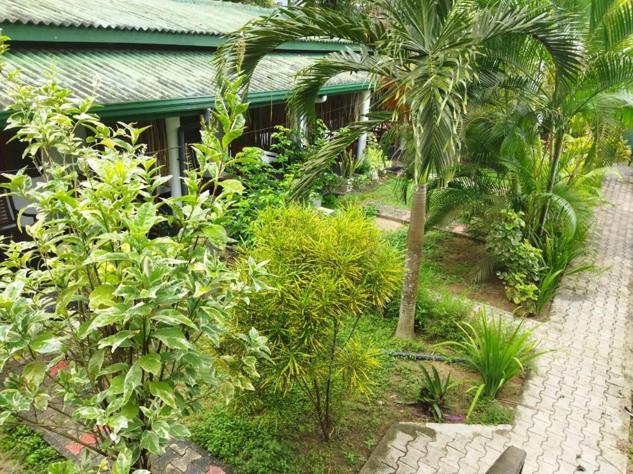 Lion Paradise Surf Beach Matara Exterior photo